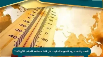 الأحد يشهد ذروة الموجة الحارة.. هل أنت مستعد لتجنب تأثيراتها؟